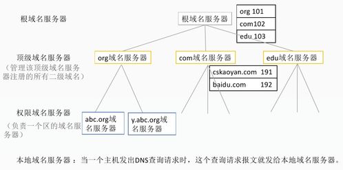 DNS域名解析系统在计算机网络设计中的角色与实现